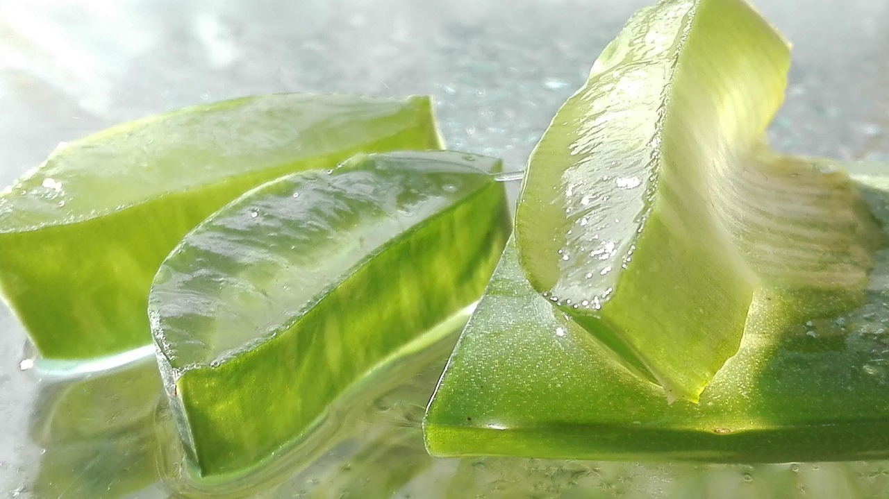 Aloe Vera gilt als wirksames Hausmittel gegen Sonnenbrand