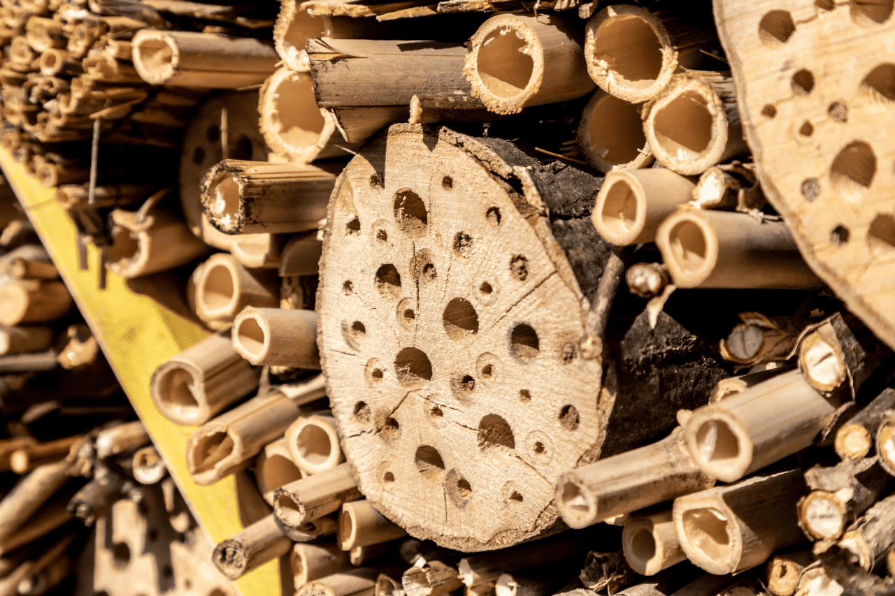Ein Insektenhotel als Maßnahme gegen das Insektensterben