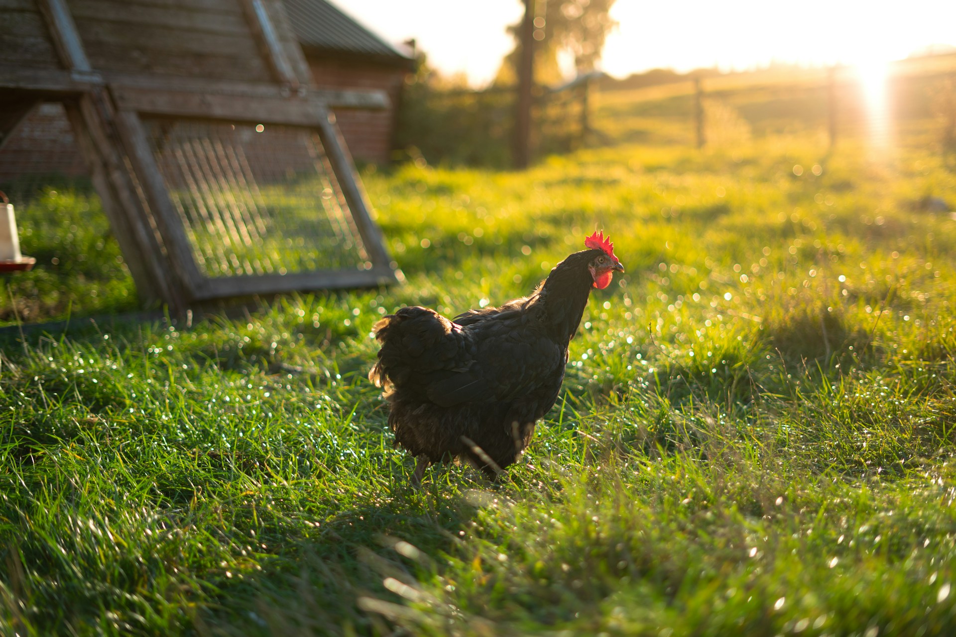 Besuch von nachhaltig bewirtschaften Landwirtschaftsbetrieben