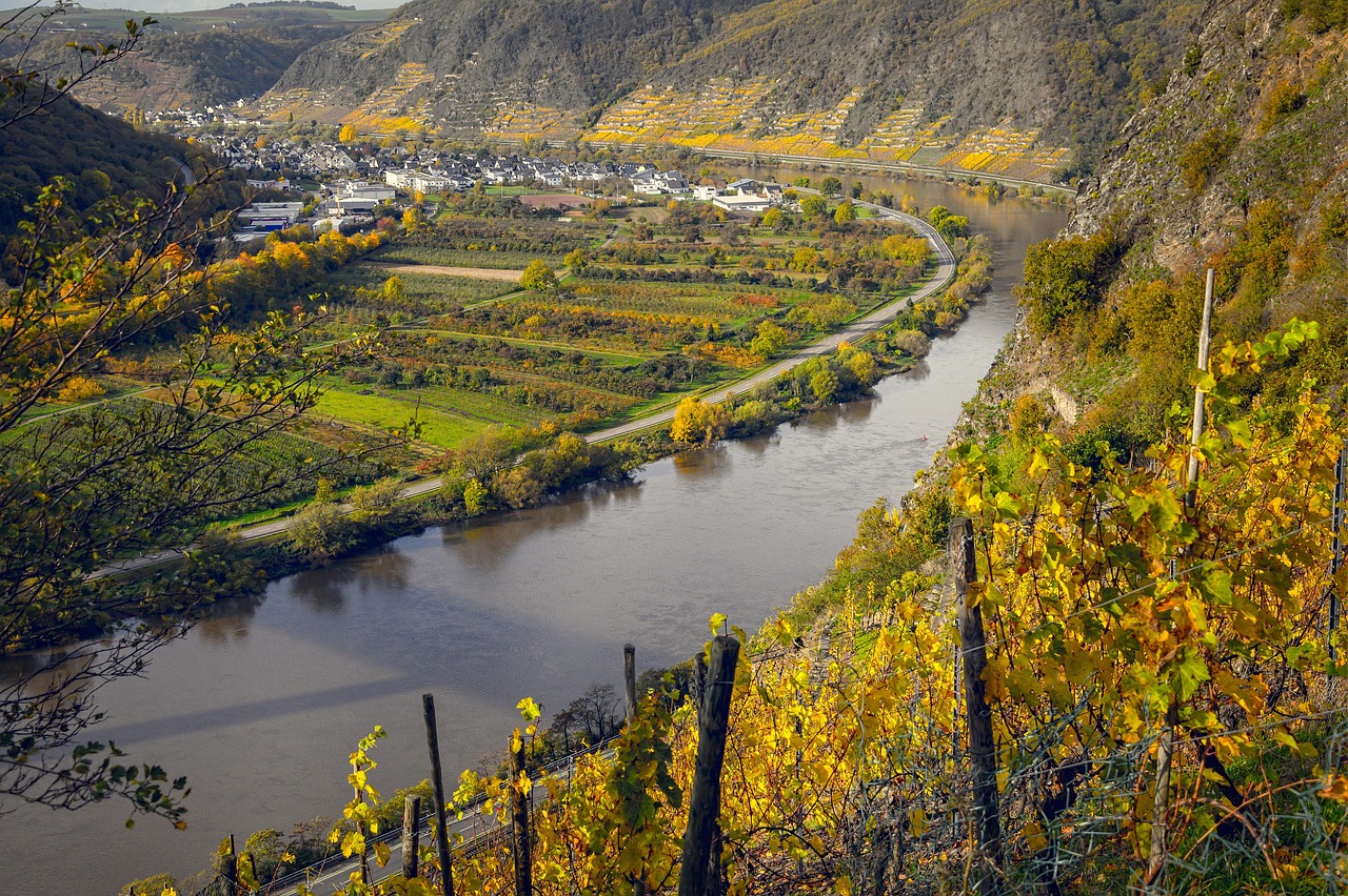 Weinreisen in beliebte Weinregionen in Deutschland